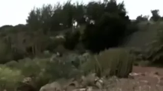 Delicious local gal wants to fuck on web camera in public place