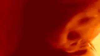 Fiese jugendliche Freundin gibt mir sinnliche Fellatio auf POV-Clip-Szene