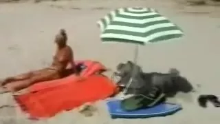 I taped two concupiscent mature hotties on the nudist beach