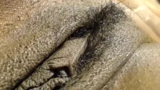 farrhamonroe dilettante movie on 2/2/15 1:02 from chaturbate