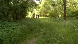 Voyage of lovely girlfriends with their allies ends of the count...