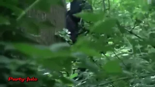 Party-Jule - Fickrausch im Karneval der Kulturen - Public