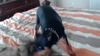 backwoodsbeaver secret movie on 1/28/15 16:07 from chaturbate