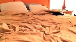 This homemade webcams video shows slut sucking rod