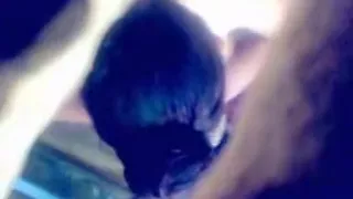 Livecam In The Aperture