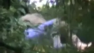 a couple in the forest