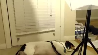 aloha luna secret movie scene on 01/31/15 07:01 from chaturbate