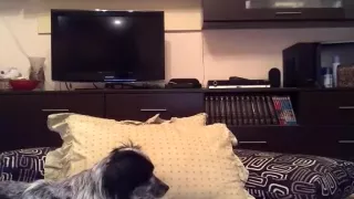 maturelady5u secret record on 01/20/15 16:46 from chaturbate