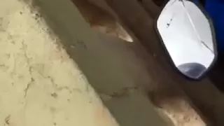 Hidden web camera voyeur desi couples caught