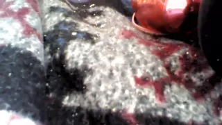 BBW takes wand and anal toy!