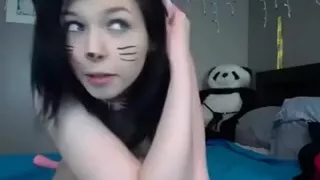 Kitty Playing