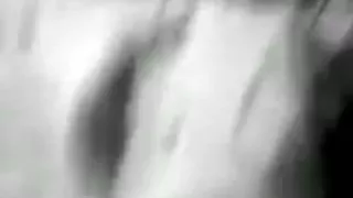 Young brunette amateur giving me a cock-sucking