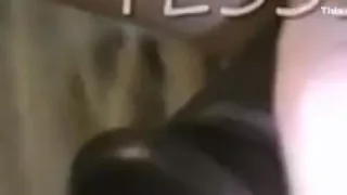 Amateur porn showing slut dildoing her beaver