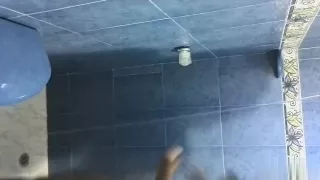 Â¿ me fazes compaã±ia ?