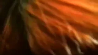 Chinese cutie engulfing pecker on a clear sunday morning