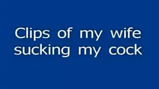 Clips of my wife sucking my cock. She is such a good cock sucker.