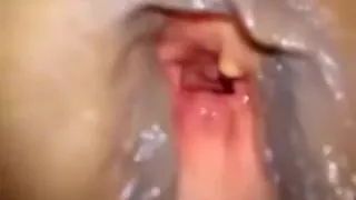 Present my horny, wet pussy and ass .