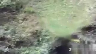 Screwing around the park!