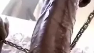 The legend of zorra: chainmail