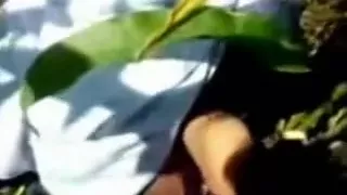 Lahori Pair Scandal in Fields