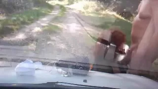 french fuck outside with prostitute