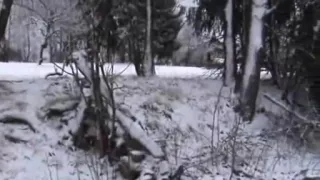 Fucking in the snow