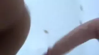 Dilettante bunny vibrator ficken