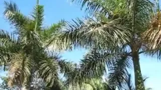 Ehemänner im Freien zu blasen, bis dieser Kerl eine gewaltige Ladung entlädt