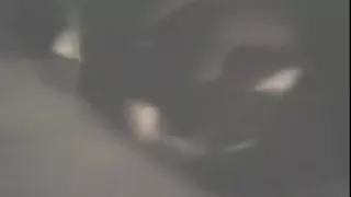 Hispanic hooker in the UK