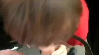 Miniature salope franacaise