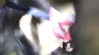 Cuckold wife swallows dark cum