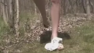 Homegrownvideos Sativa