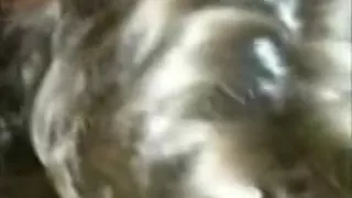 Nerdy hotty swallows like a champ