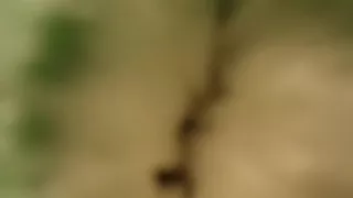 Quickie with the homemade fleshlight