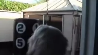 Concupiscent Pink Haired Plowed Missionary