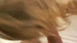 Engulfing leads to cum on her great breasts