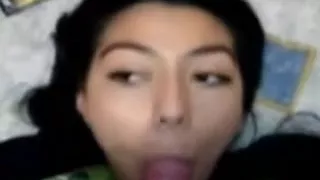 Various girlfriends engulfing and jerking off