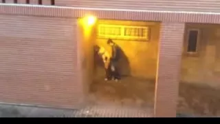 Voyeur Tapes Legal Age Teenagers Fucking In Public