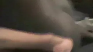 White wife taking darksome meat