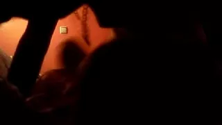 sex after a priceless evening