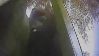 Voyeur beach cabin part 1