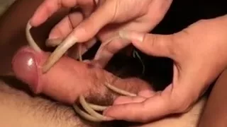 LongestNails Scratching Cock