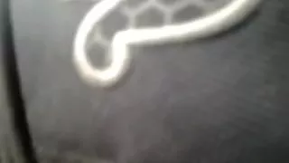 Very sexy legs Touch in Bus