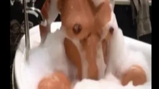 Fucking and licking my wife in the tub!