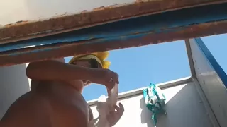 Tits and pussies of some sexy gals