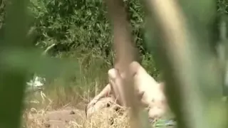 Spying on amateurs fucking outdoots