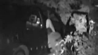 Couple having oral fun in the car