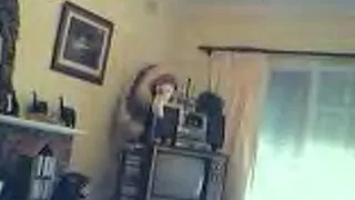 Non-Professional Webcam - Blonde Flashes And Strips