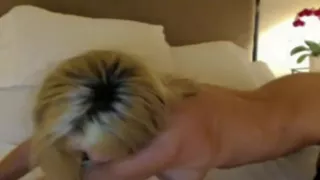 So sexy golden-haired mature i'd like to fuck make my life so cheerful with this cam enjoyment,have a pleasure