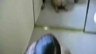 Tattooed sweetheart fucks hard